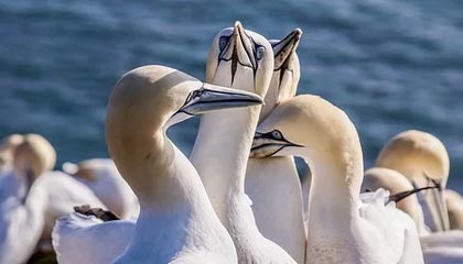 开云体育-风波已过正式向前看 憾负无碍哈登展现巨星本色